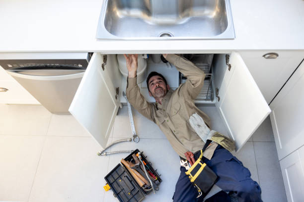 Best Plumbing Inspection Services  in Kenyon, MN