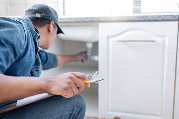 Best Toilet Repair Services  in Kenyon, MN