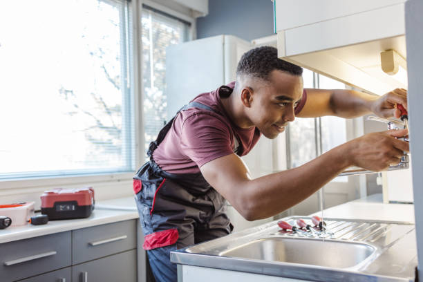 Best Commercial Plumbing Services  in Kenyon, MN